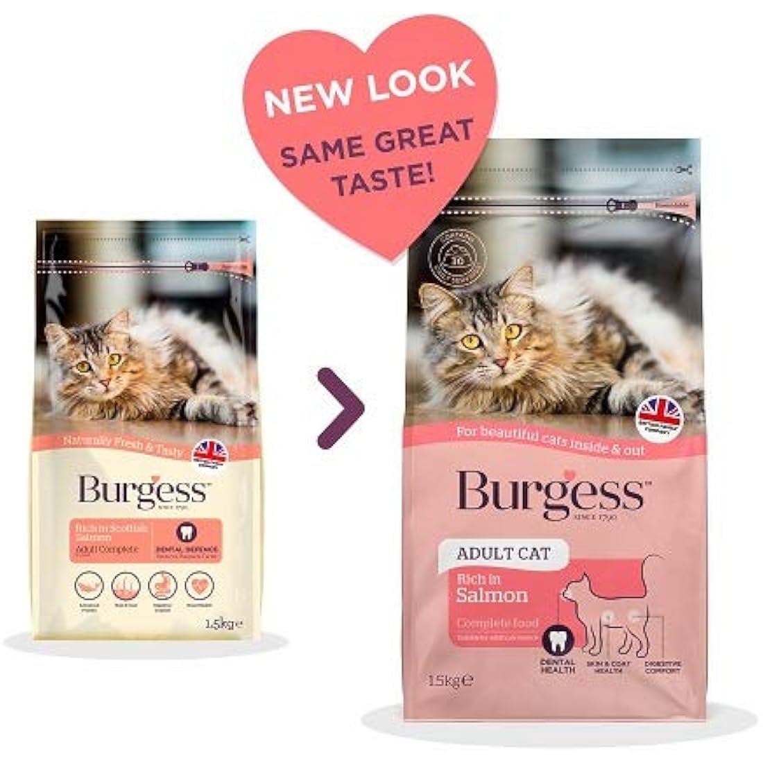 Burgess Dry Cat Food for Adult Cats Rich in Salmon, 1.5 kg