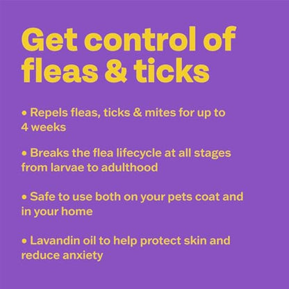 Bob Martin Clear Flea Repellent Spray for the Home, Dogs and Cats - Controls Flea and Tick Infestations in the Household (300ml)