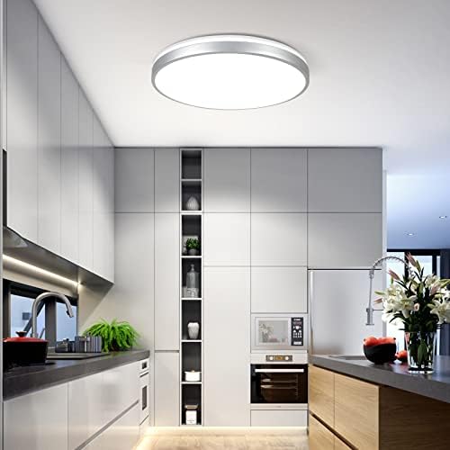 Horevo 24W LED Ceiling Light, Minimalist Silver Edge Ceiling Light with Remote Control and Bluetooth Speaker, 2000 Lumens Ø30cm Dimmable Ceiling Lights for Lounge, Living Room, Kids Room, Bedroom
