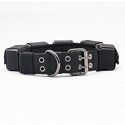 Walktime Tactical Weighted Dog Collar - Weights for Training & Exercise - Small, Medium, Large Dogs