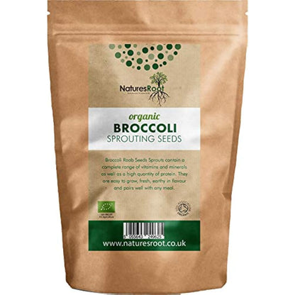 Natures Root Organic Broccoli Sprouting Seeds 1kg - Superfood | Non GMO | Microgreen Sprouts