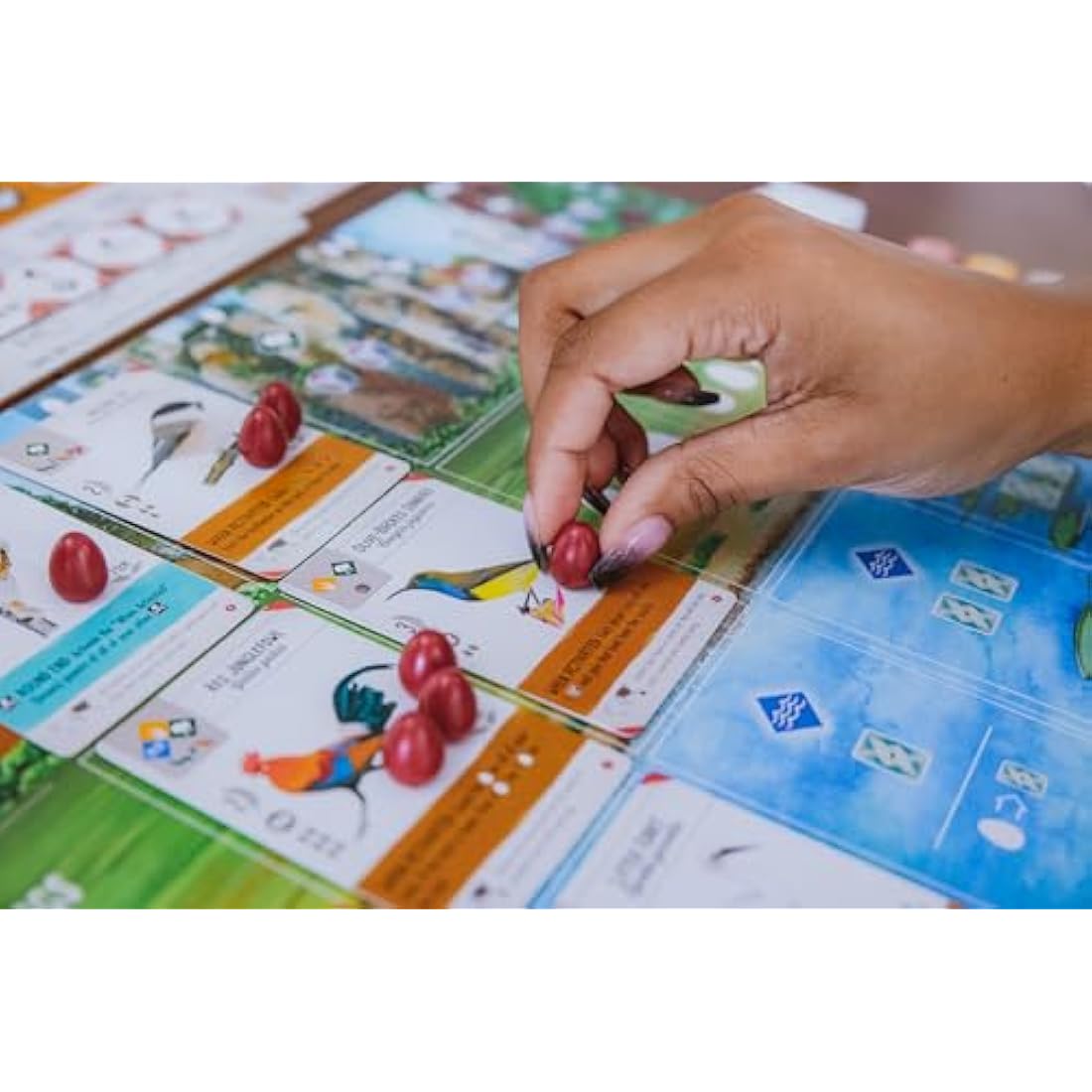 Stonemaier Games | Wingspan Asia | Standalone or Expansion Board Game | Ages 14+ | 1-7 Players |40-70 Minutes Playing Time