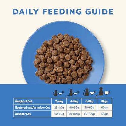 Applaws Complete Natural and Grain Free Dry Adult Cat Food, Ocean Fish with Salmon, 6 kg Bag