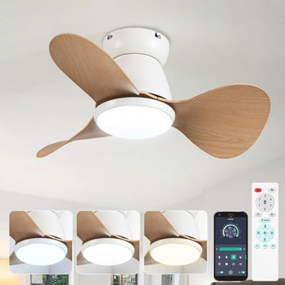 ycwdcz Small Ceiling Fans with Lamps Super Silent DC Ceiling Fans with Lights and Remote 6 Speeds Reversible 3 Blades 3 CCT, Mini Led Ceiling Fan for Small Bedroom Kids Room