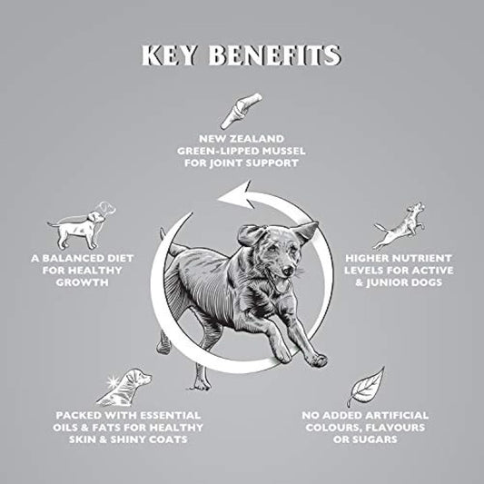 Dr. John Titanium Complete Dry Dog Food 15kg - Chicken, Vegetables and New Zealand Green-Lipped Mussel - Complete Nutrition for Active Adult and Junior Dogs