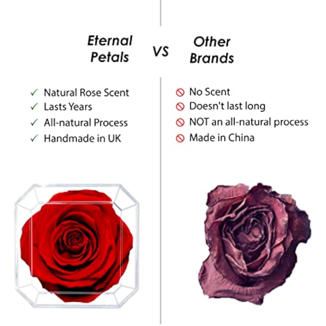A 100% Real Rose That Lasts Years - Eternal Petals, Handmade in UK, Flowers Delivery Next Day Prime – White Gold Solo (Red)
