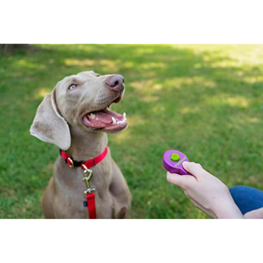 PetSafe Clik-R Training Tool, Training Clicker for Dogs, Reinforces Positive Behaviour, Comfortable Grip, Training Guide Included, Purple