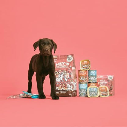 Lily's Kitchen Natural Puppy Wet Dog Food Tins Chicken Grain-Free Recipe 6 x 400g
