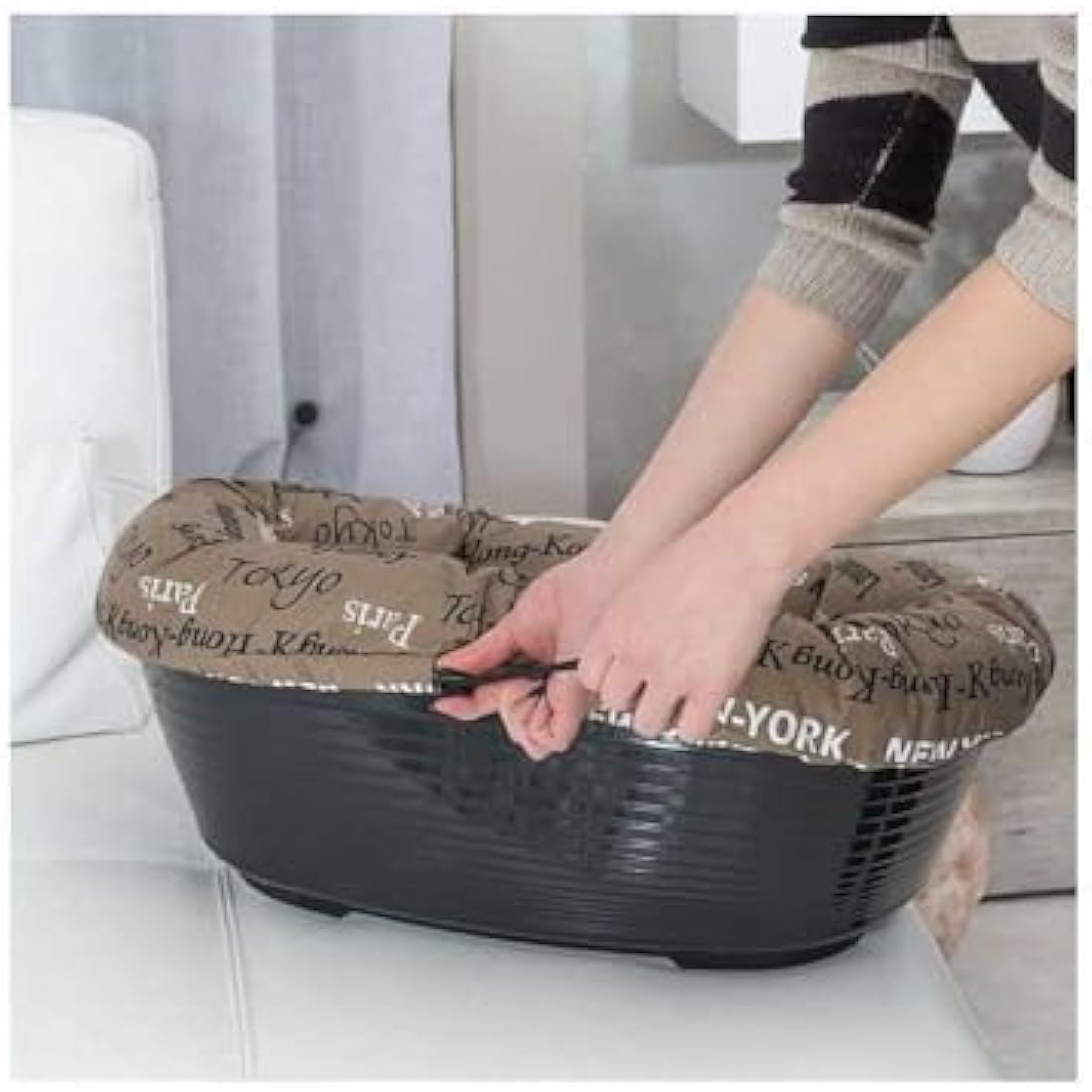 Ferplast Plastic Dog and Cat Bed with Padded Dog and Cat Cushion SOFA' Dog Bed with Padded Cushion, Washable, 64 x 48 x 25 cm