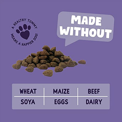 Burgess Sensitive Dry Senior Dog Food 7+ Rich in Turkey, 12.5 kg