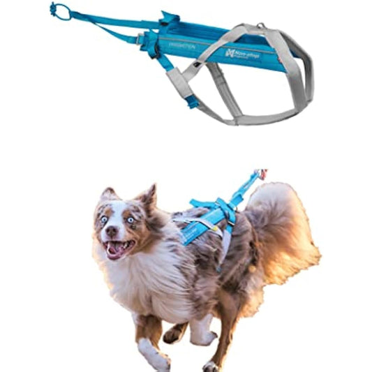 Non-stop dogwear Freemotion harness 5.0 Dog Pulling Harness for Sports like Running, Biking and Skiing with Dogs, Professional Adjustable Dog Harness, Blue/Gray, Size 6