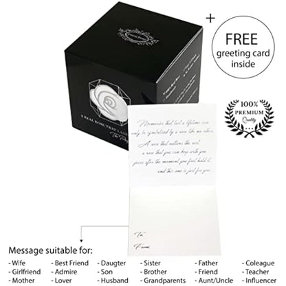 A 100% Real Rose That Lasts Years - Eternal Petals, Handmade in UK, Flowers Delivery Next Day Prime – White Gold Solo (Red)