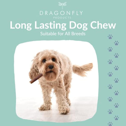 Dragonfly Products 10 pieces Bulls Pizzle Bully Sticks for Dogs & Puppies | Healthy, Natural Dog Treats Chews | Grain Free Treat