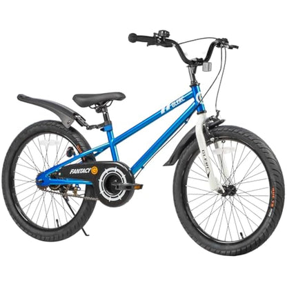 Glerc Fantacy 20 Inch Kids Bike for 2-14 Years Old Boys Girls with Water Bottle Holder & Stabilisers, Multiple Colors
