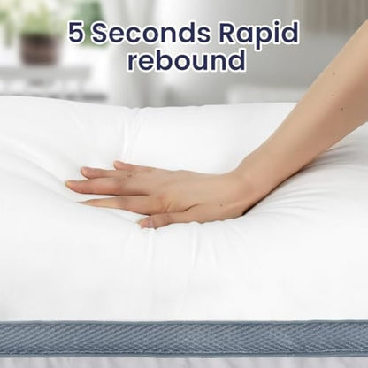 BedStory Bed Pillows 2 Pack, Luxury Pillows for Sleeping Premium Hotel Quality Pillows with Breathable Cover Bounce Back Pillow for Back/Stomach/Side Sleepers Washable, Dark Gray (42×70 CM)