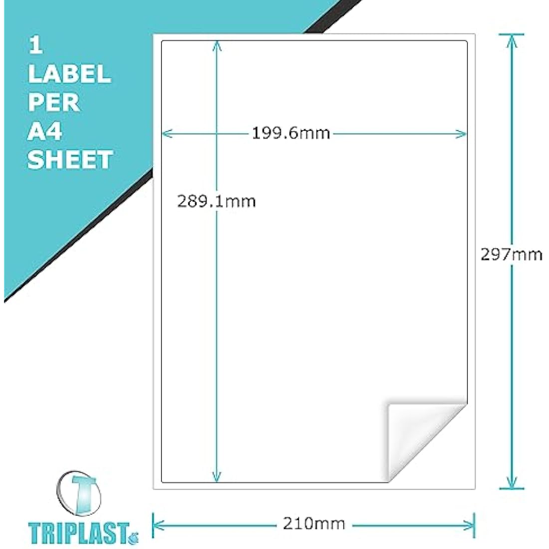 Triplast 100 A4 Multipurpose Label Sheets - 200 x 289mm - Easy Peel White Inkjet & Laser Labels - Address, Shipping, File Labels, DIY Stickers