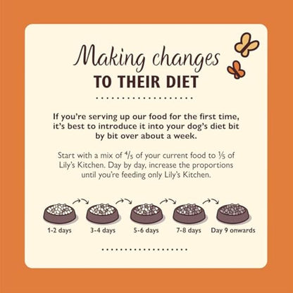 Lily's Kitchen Natural Adult Dry Dog Food Chicken & Duck Grain-Free Recipe 4 x 1kg