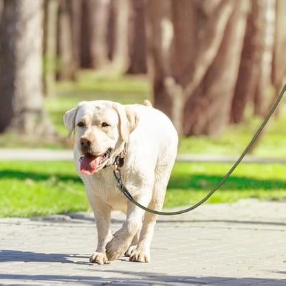 Kdsvakd Training Lead For Dogs, 3m / 10ft Long Rope Dog Lead with carabiner clip and padded handle, Recall Durable Lead Duty Check Cord For Puppy, Small, Medium, Large Dog