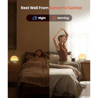 Dreamegg Sunrise 1 - Sunrise Alarm Clock, White Noise Machine with 29 Sounds, Wake Up Light Alarm Clock with 5 Wake up Sounds, 9 Dimmable Night Lights, Snooze, Customizable Sleep Routines for Adults