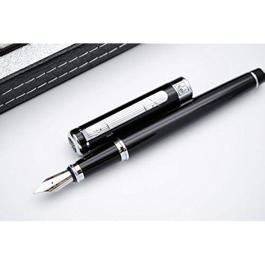 czxwyst Picasso 902 Gentleman Collection Fountain Pen Original Box (Platinum clip)