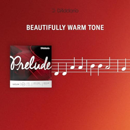D’Addario Prelude Violin String Set, 4/4 Scale Medium Tension – Solid Steel Core, Warm Tone, Economical and Durable – Educator’s Choice for Student Strings – Sealed Pouch to Prevent Corrosion, 1 Set