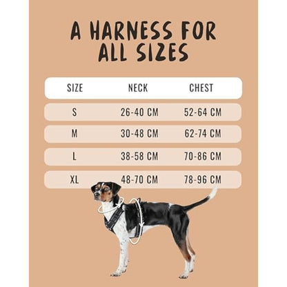 Rudelkönig dog harness Paola - Reflective Chest Harness with Handle - Adjustable no pull harness for dogs - For small and medium dogs