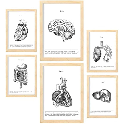 Nacnic Set of 6 posters of internal organs. Collection of plates with aesthetic collage for interior decoration. Sizes A3 and A4. With wooden frame.