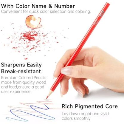 Shuttle Art 408 Pack Colouring Pencils Bulk, Coloured Pencil Set for School Plus 20 Sharpeners, 12 Colours School Pack Colouring Pencils for Kids, Class pack School Supplies