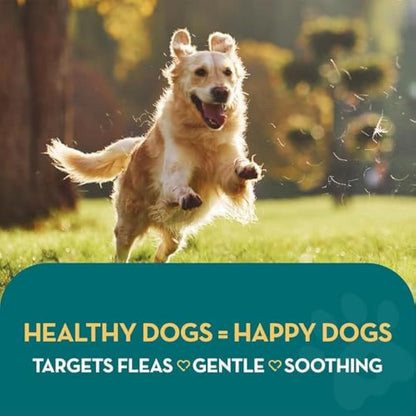 The Healthy Dog and Cat Co Natural Flea Spray 500ml – Fast-Acting, Non-Toxic Flea Spray for Dogs, Cats & Home – Safe & Effective UK Formula & Natural Treatment