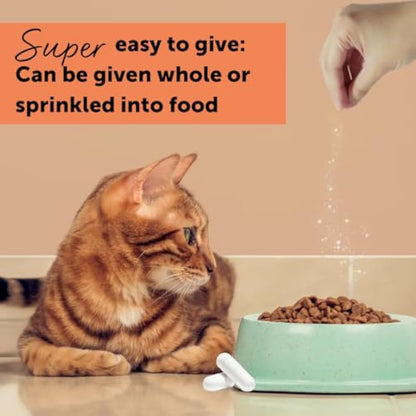 Feliway Cystease 30 Capsule Pack, 30 Feliway Cystease Capsules For Cats Urinary Tract Infection Treatment, Cat Supplements To Help Stress Related Bladder Issues And Reduce Cat Anxiety In Your Pet