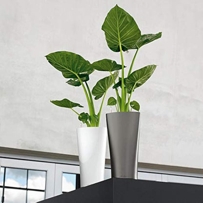 Lechuza Self Watering Plant Pot DELTA 40 Garden Flower Indoor and Outdoor Tall Plastic Planter with Drainage Hole D40 H75 cm White High-Gloss