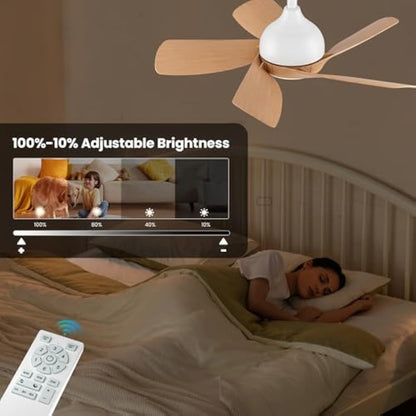 CJOY 30 inch Ceiling Fan Light, Woodgrain Ceiling Fans with Lights Dimmable, Memory 3CCT, 6 Speeds, Quiet, Reversible DC 5 Blades, Fan Lights Ceiling for Bedroom/Kids Room/Corridor/Aisle