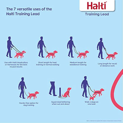 HALTI No Pull Harness & Training Leash Large Combination Pack - Stop Dog Pulling, Black, Adjustable, Lightweight, Easy to Use for Large Dogs