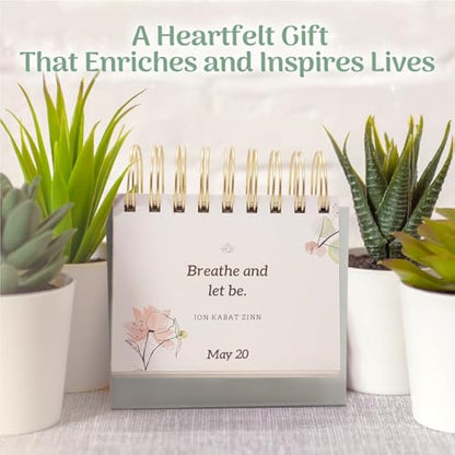 MESMOS 366 Daily Self Care Quotes Mindfulness Perpetual Calendar, Cute Office Desk Decor Women, Desk Decorations Accessories for Women Office, Motivational & Inspirational Teacher Appreciation Gifts