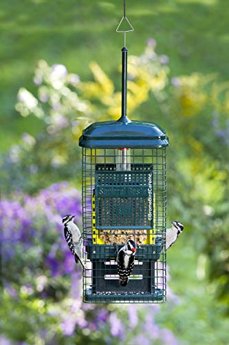 Squirrel Buster Squirrel-proof Bird Feeder w/2 Suet Cake Trays, 2 Crumb Ports, Mess-free Loading, Green