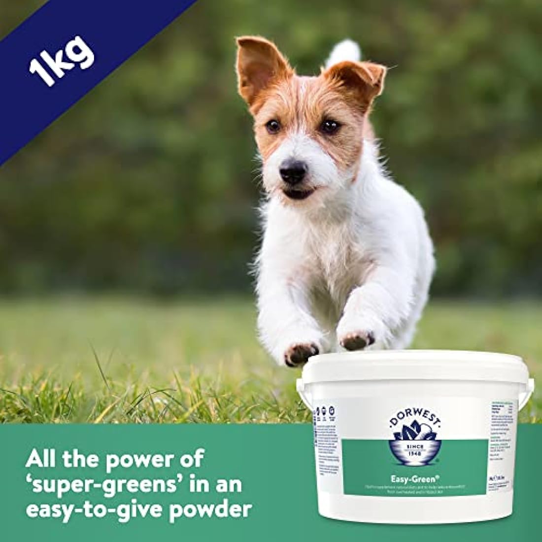 Dorwest Herbs Easy-Green Powder 1kg, Super Green Raw Diet Supplement for Dogs, Itch Relief for Dogs and Cats – Natural Supplement for Cats and Dogs with Allergies, (14DOR028)