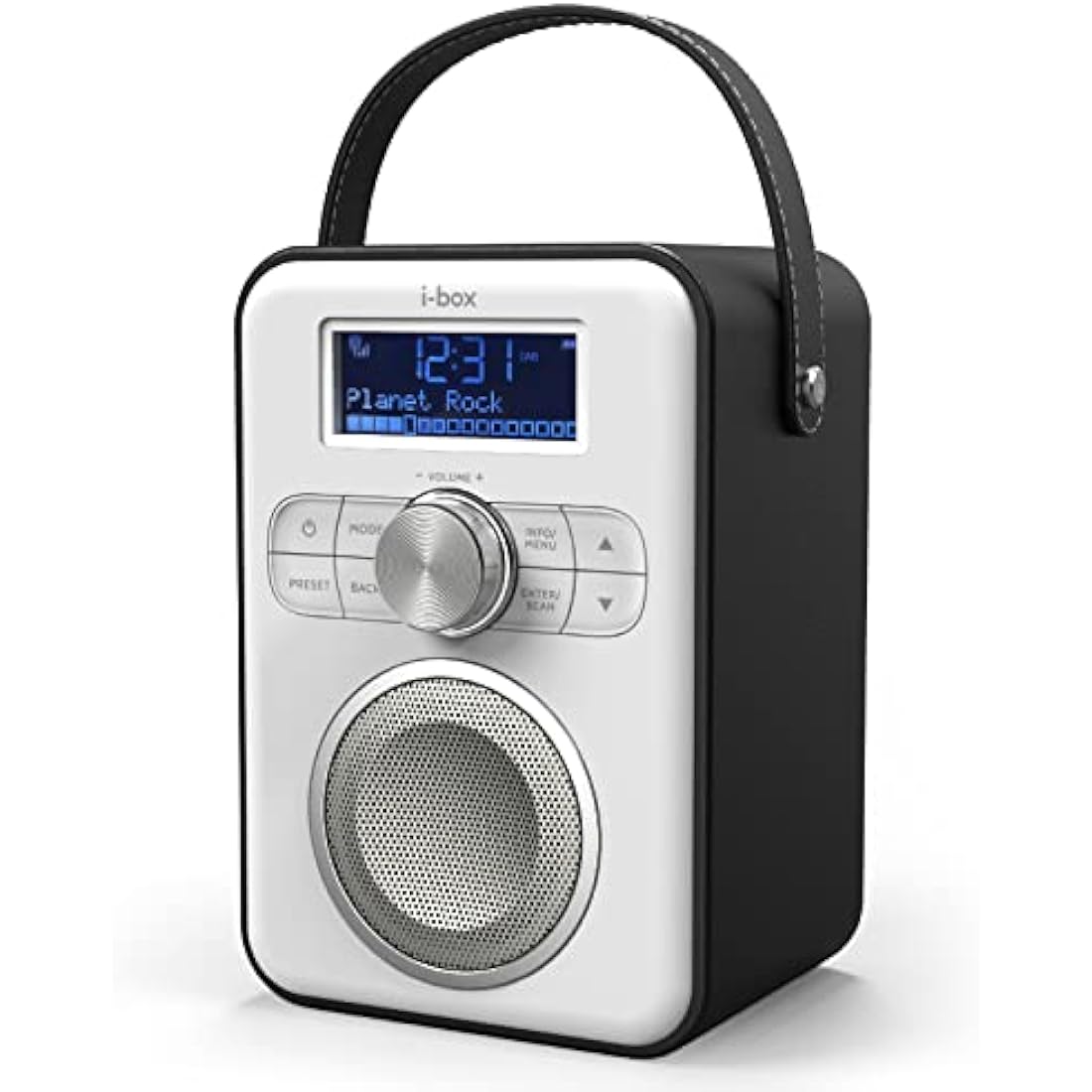 DAB Radio Portable, DAB/DAB Plus Radio, FM Radio, Portable Bluetooth Speaker, Digital Radio with USB Charging for 10 Hours Playback, Bluetooth Stereo Speakers, Rechargeable