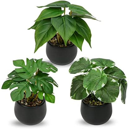 Briful Set of 3 Small Fake Plants in Ceramic Pot, Monstera Faux Potted Plants, Pilea Artificial Plants Scindapsus Aureus Plants Artificial for Home Kitchen Bathroom Decor