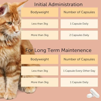 Feliway Cystease 30 Capsule Pack, 30 Feliway Cystease Capsules For Cats Urinary Tract Infection Treatment, Cat Supplements To Help Stress Related Bladder Issues And Reduce Cat Anxiety In Your Pet