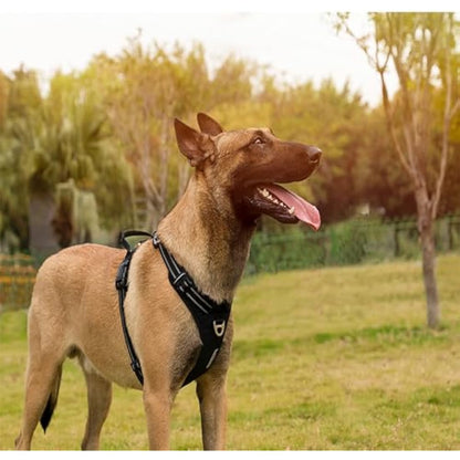 WINHYEPET No-Pull Dog Harness,Adjustable Outdoor Vest Reflective Nylon Soft Pet Harness Dog Suitable Small Medium Large Breeds TLH5654(Orange,XL)