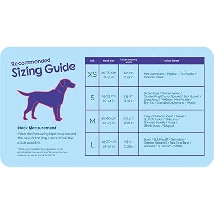 HALTI Collar, Size Medium, Purple, Best Comfy Dog Collar, Premium Puppy Collar, Nylon, Neoprene-Padded, Reflective, Easy to Fit & Use, For Small, Medium & Large Dogs