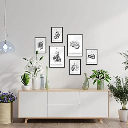 Nacnic Set of 6 posters of internal organs. Collection of plates with aesthetic collage for interior decoration. Sizes A3 and A4. With white frame.