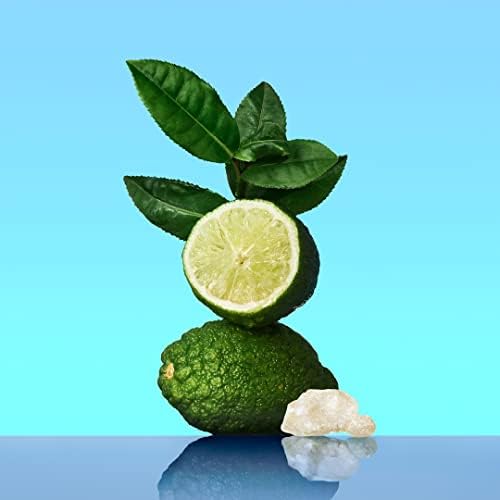 CALVIN KLEIN CK One - Unisex Eau de Toilette for All - Citrus & Aromatic Fragrance with Notes of Green Tea, Nutmeg and Musk - Medium Longevity - 200ml