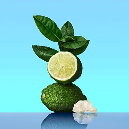 CALVIN KLEIN CK One - Unisex Eau de Toilette for All - Citrus & Aromatic Fragrance with Notes of Green Tea, Nutmeg and Musk - Medium Longevity - 200ml