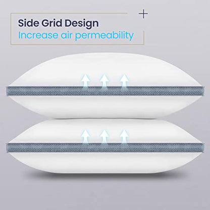 BedStory Bed Pillows 2 Pack, Luxury Pillows for Sleeping Premium Hotel Quality Pillows with Breathable Cover Bounce Back Pillow for Back/Stomach/Side Sleepers Washable, Dark Gray (42×70 CM)