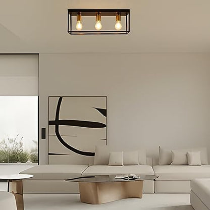 3 Lights Black Ceiling Lights, Flush Mount Modern Industrial Ceiling Light E27, LED Metal Cage Ceiling Light Fixture for Bedroom Living Room Kitchen Hallway Staircase max.60W - NO Bulb