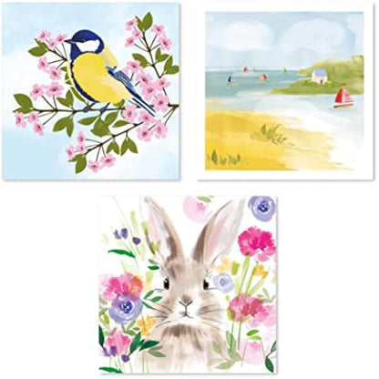 Tall Boy | Everyday Marie Curie Charity Pack Bundle of 36 Greeting Cards Perfect for Birthdays & All Occasions