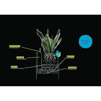 Lechuza Self Watering Plant Pot CANTO Stone 40 High Large Plastic Indoor and Outdoor Plant Pot with Drainage Hole H70 L40 W40 cm Graphite Black