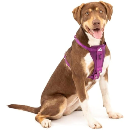 Enhanced Strenght Tru-Fit Smart Harness, Purple, Medium