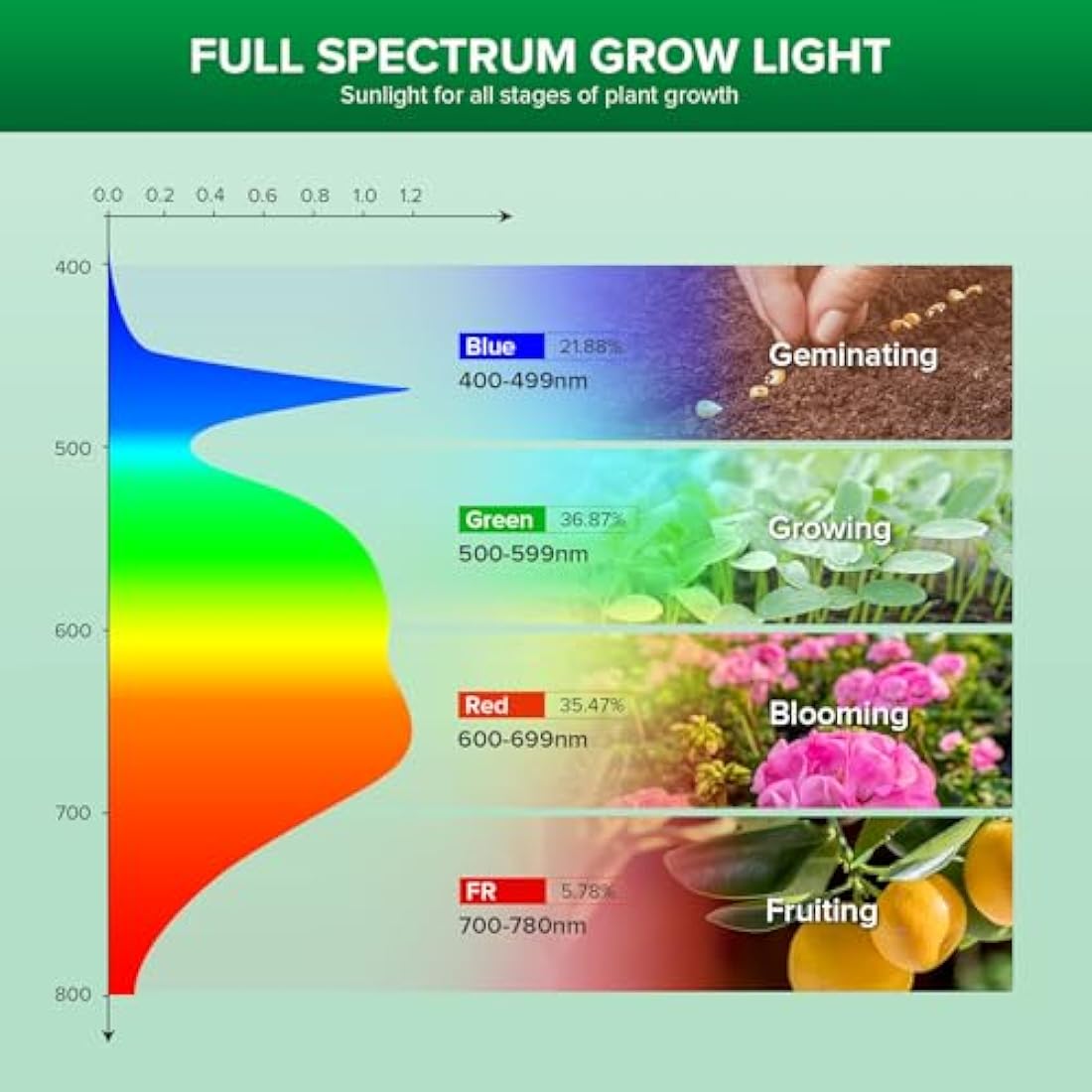 SANSI 36W LED Grow Light for Indoor Plants, 400W Equivalent Full Spectrum E27 Plant Grow Light Bulb for Seedlings Vegs Flowers Hydroponics (PPF: 65 μmol/s, 60° Beam Angle, Veg Cover: 2x4 Sq Ft)